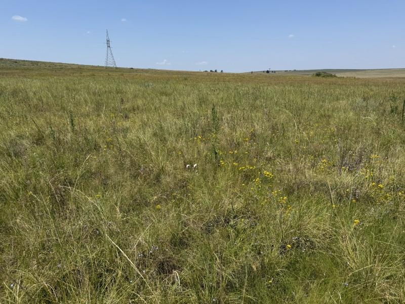 0 Bedroom Property for Sale in Bethlehem Rural Free State